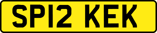 SP12KEK