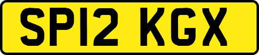 SP12KGX