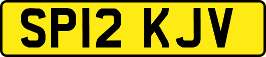 SP12KJV