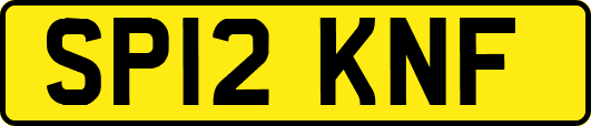 SP12KNF