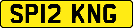 SP12KNG