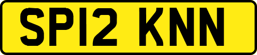 SP12KNN