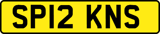 SP12KNS