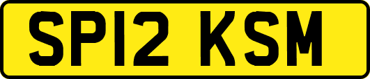 SP12KSM