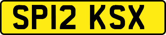 SP12KSX