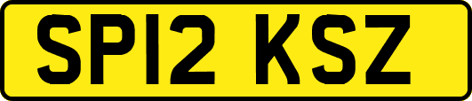 SP12KSZ