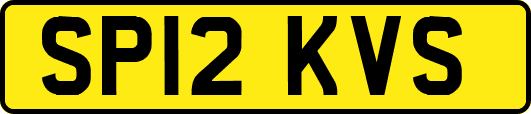 SP12KVS
