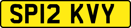 SP12KVY