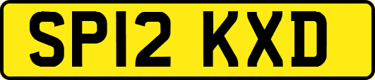 SP12KXD