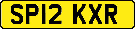 SP12KXR