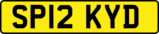 SP12KYD