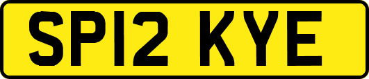 SP12KYE