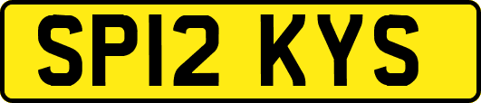 SP12KYS