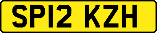 SP12KZH