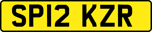 SP12KZR