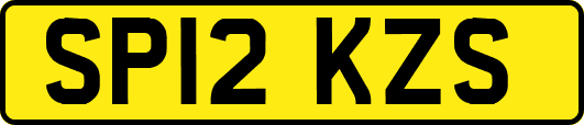 SP12KZS