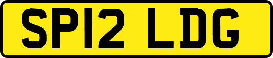 SP12LDG