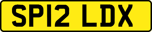 SP12LDX