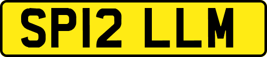 SP12LLM