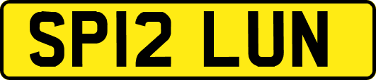 SP12LUN
