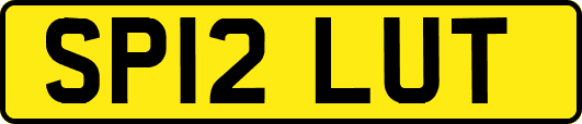 SP12LUT
