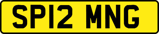 SP12MNG