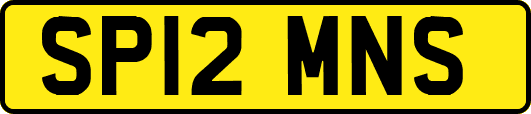 SP12MNS