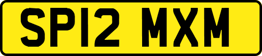 SP12MXM