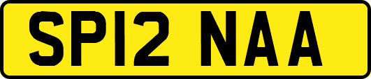 SP12NAA