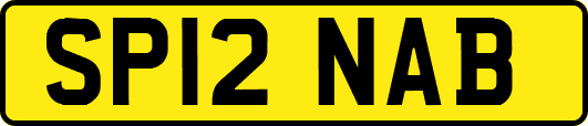 SP12NAB
