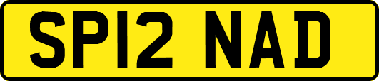 SP12NAD