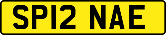 SP12NAE