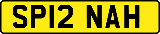 SP12NAH