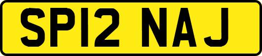 SP12NAJ