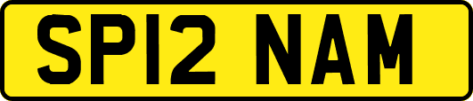 SP12NAM