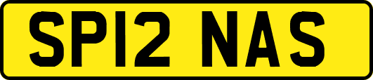 SP12NAS