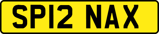 SP12NAX