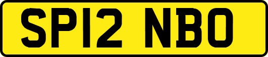 SP12NBO