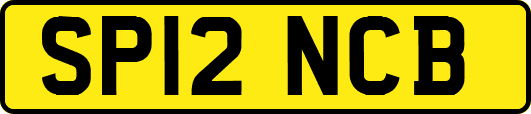 SP12NCB