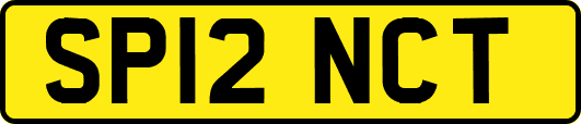 SP12NCT