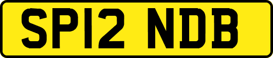 SP12NDB