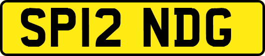 SP12NDG