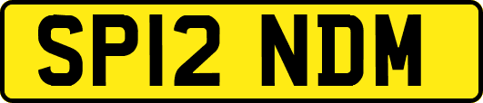 SP12NDM