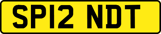 SP12NDT