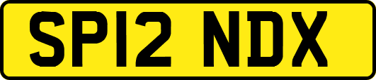 SP12NDX