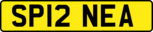 SP12NEA