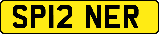SP12NER