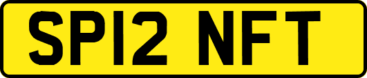 SP12NFT