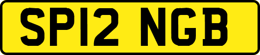 SP12NGB