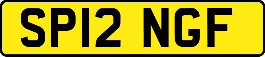 SP12NGF